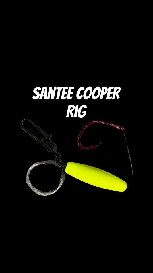 Santee Cooper Rig